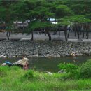 선달산캠핑장 이미지
