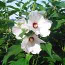 우리집농장 이미지