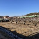 커피베이영동역점