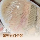 물만난김선장