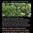 유행가노래 이미지