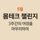 [5월 몸테크 챌린지 후기] 1분 루틴이 만든 3주의 변화!