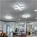 싱싱활어회 이미지