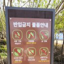 맑음 | 벚꽃구경하러 오남저수지랑 물맑음수목원 다녀온 후기