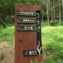 용인정신병원 이미지