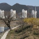 주암제 이미지