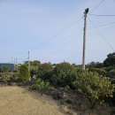 윤서네 해피하우스 이미지