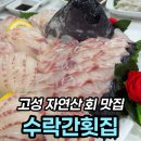 고성 아야진 맛집 수락간횟집 자연산 돌돔 솔직 후기