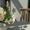 반도안경 | 내포 반도유보라 파블로바가 맛있는 카페 더 제이