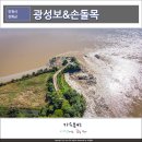용두드론