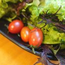 춘천닭갈비농장 이미지