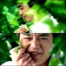 그린플럼