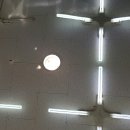 맥스샤인 이미지