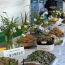 메종드이룸 이미지