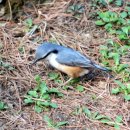 올림픽공원역 1번출구 이미지