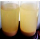 서호농장 이미지