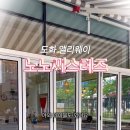 노노씨스터즈 이미지