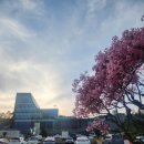 중부대로1262번길 이미지