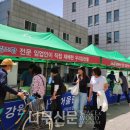 석촌호수로 이미지