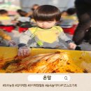 자연숲속나라어린이집 | 어린이집 와우농원 김치체험 후기｜아이들이 푹 빠진 숲속 자연놀이 하루