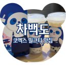 코엑스카페 차백도 코엑스점, 자스민 밀크티 말리라떼 차이, 재방문 후기