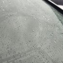 마린모터스 이미지