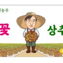 대한포장디자인 이미지