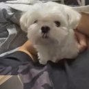 엄마랑 대만여행 3일차