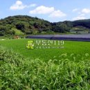 사곡리농장 이미지