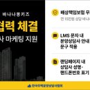 바나나몽키즈
