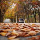 안성컨트리클럽 이미지