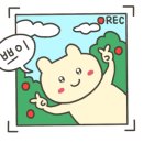 카페종달