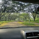 보고르 | 혼자가는 라마단 골프 (2025년 3월) 4탄 - 보고르 Permata Sentul 후기