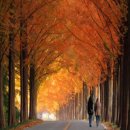 대성농원 이미지