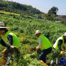 매화농업협동조합 이미지