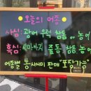 조개집 | 구미 옥계 맛집 회와 조개구이가 맛있는 사심 내돈내산
