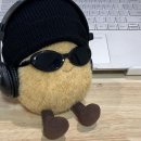 버터플랜트