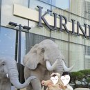 KIRINE(키린느) 이미지