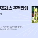 (주)진영