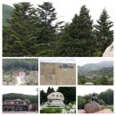 진부리유원지 이미지