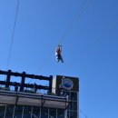 나인오션 이미지