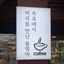 속초시니어클럽 실버베이커리 | 속초 실버까페 속초에 살다와 우리왕만두 내돈내산후기