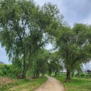 송우주공2단지.석향마을 버스정류장(40127) | [경기옛길] 경흥길/ 제4길, 파발막길(소흘읍 행정복지센터 ~포천시외버스터미널)