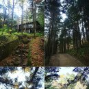 이효석농장 이미지