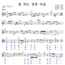노래꽃피는마을 이미지