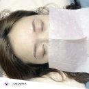 컬러리아 이미지