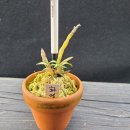 연월농장 이미지