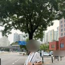 칼린 | 칼린 데이프S 포그그레이 내돈내산 후기(데이프S H76135010 포그그레이)