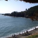 스콜피언 이미지