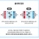 2023년 11월 10일 금요일. 신문을 통해 알게 된 것들 이미지